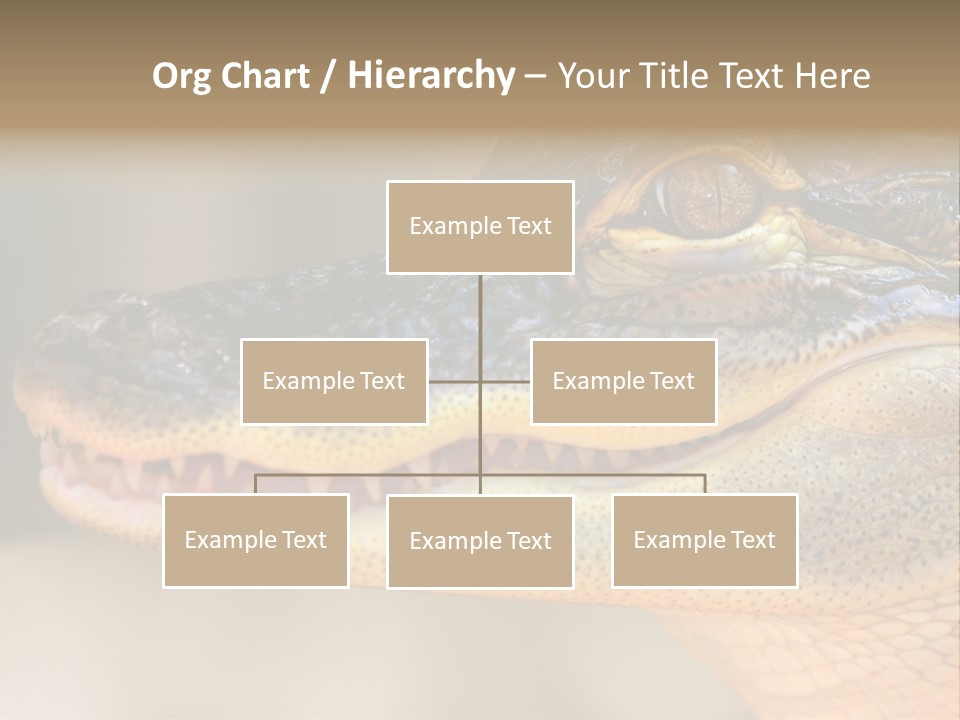 House Technology Remote PowerPoint Template