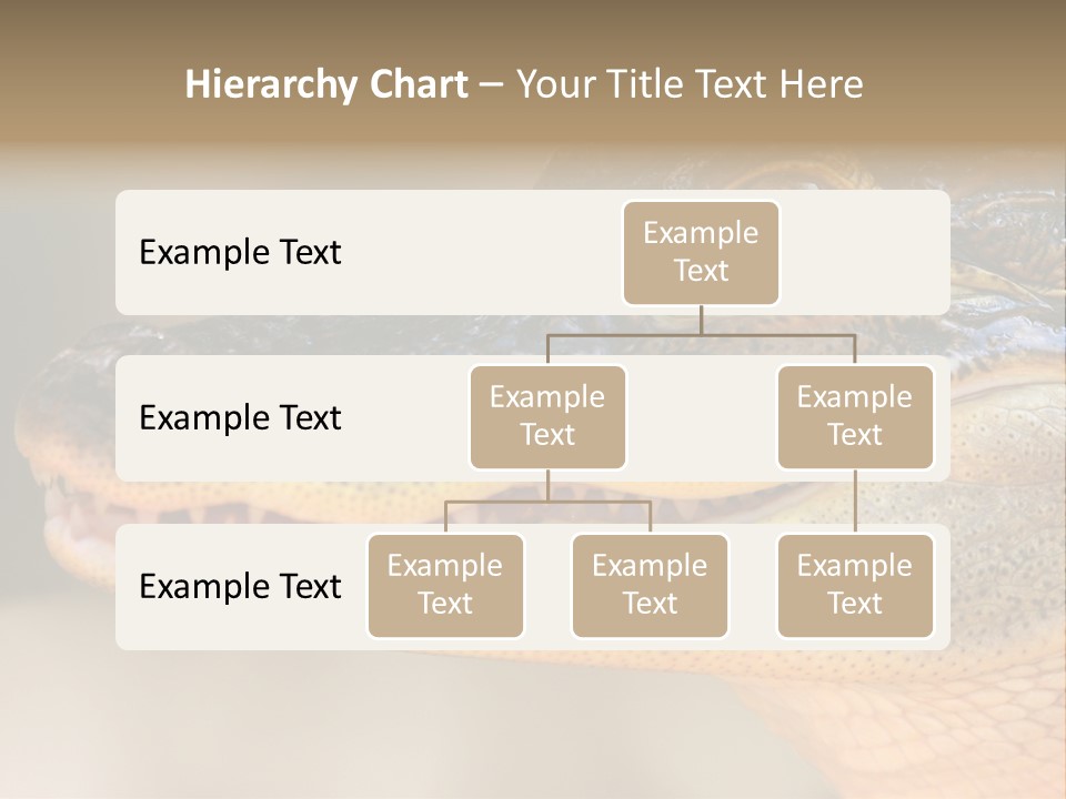 House Technology Remote PowerPoint Template