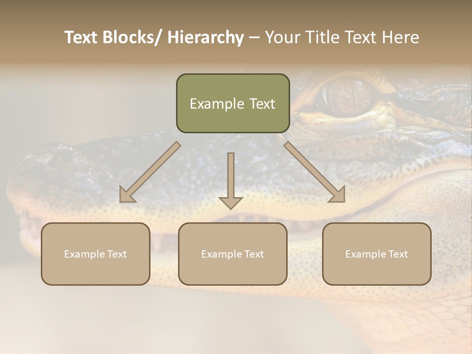 House Technology Remote PowerPoint Template