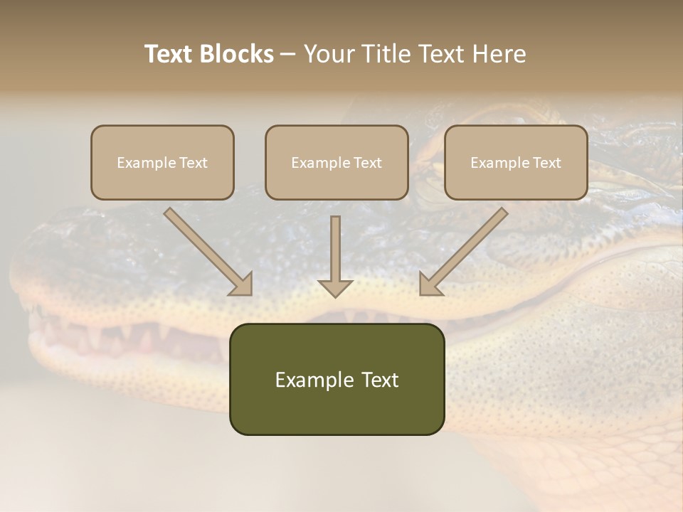 House Technology Remote PowerPoint Template