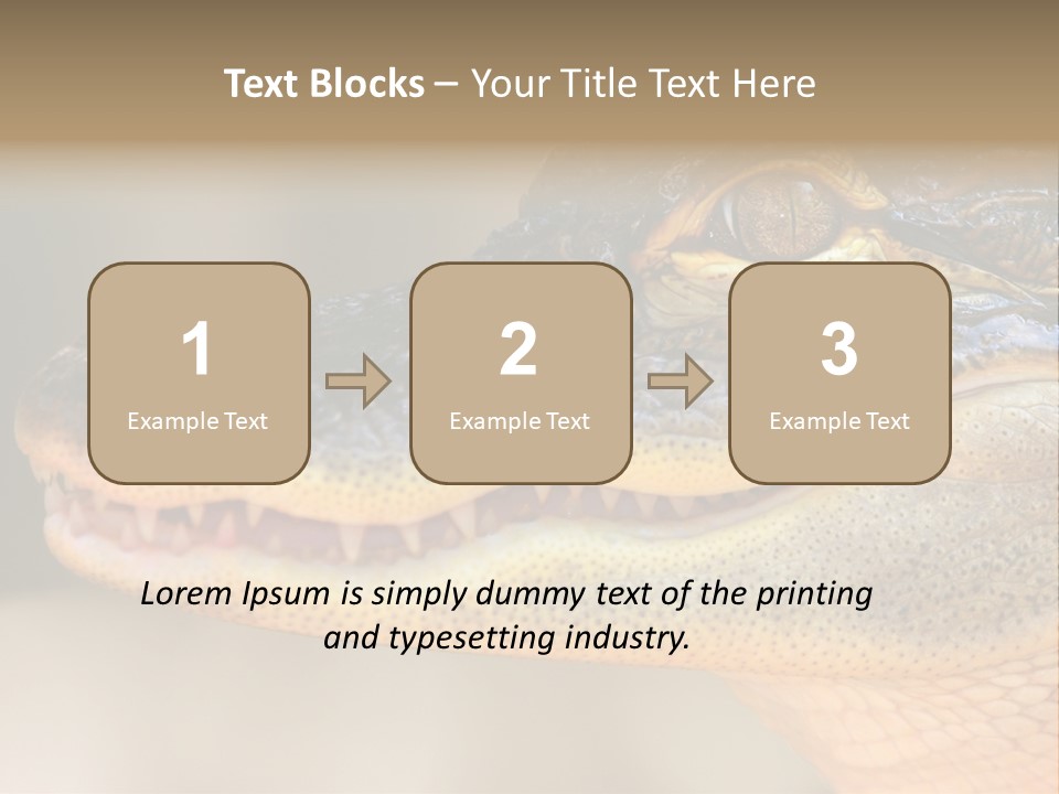 House Technology Remote PowerPoint Template