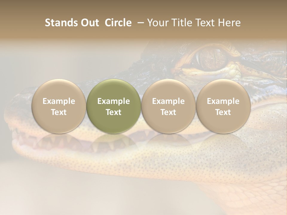 House Technology Remote PowerPoint Template