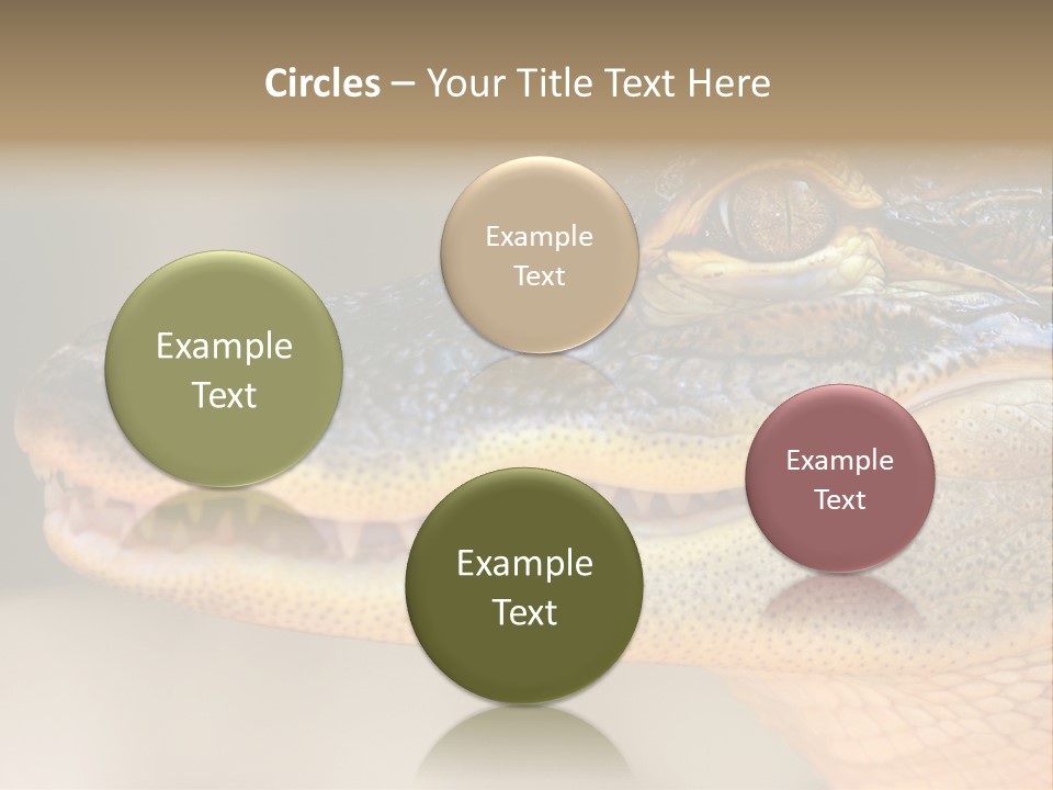 House Technology Remote PowerPoint Template