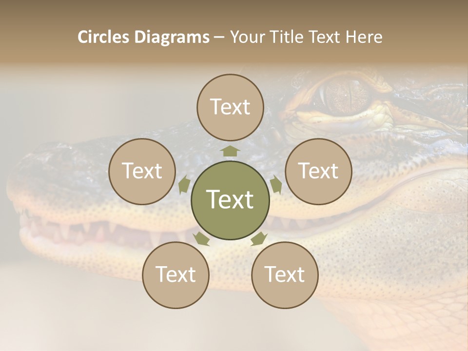 House Technology Remote PowerPoint Template