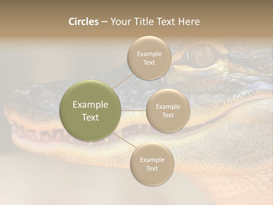 House Technology Remote PowerPoint Template