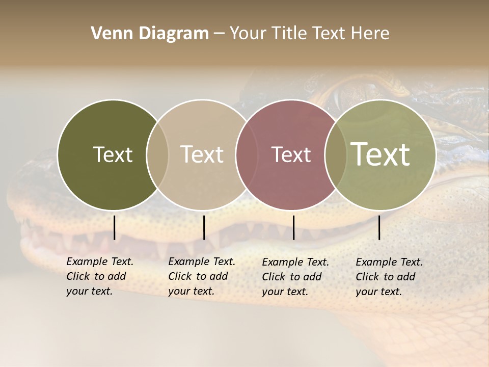 House Technology Remote PowerPoint Template