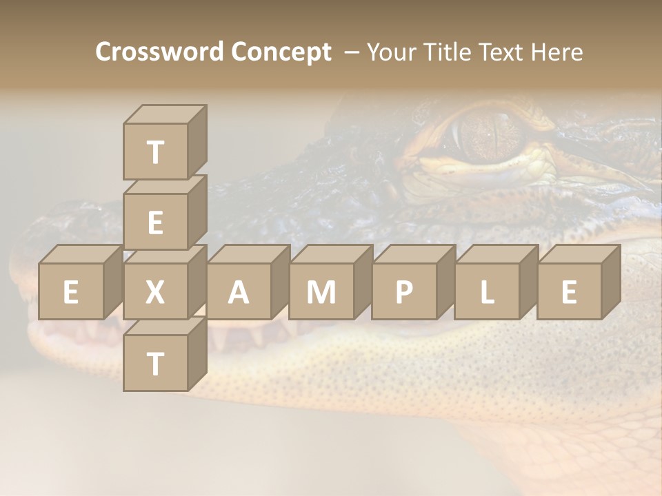 House Technology Remote PowerPoint Template
