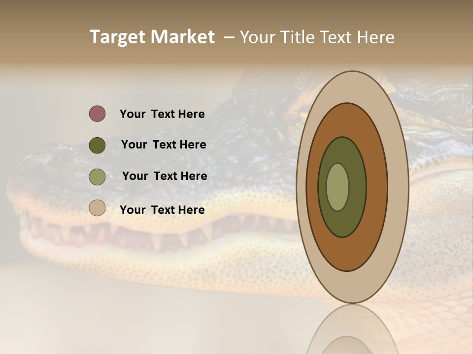 House Technology Remote PowerPoint Template