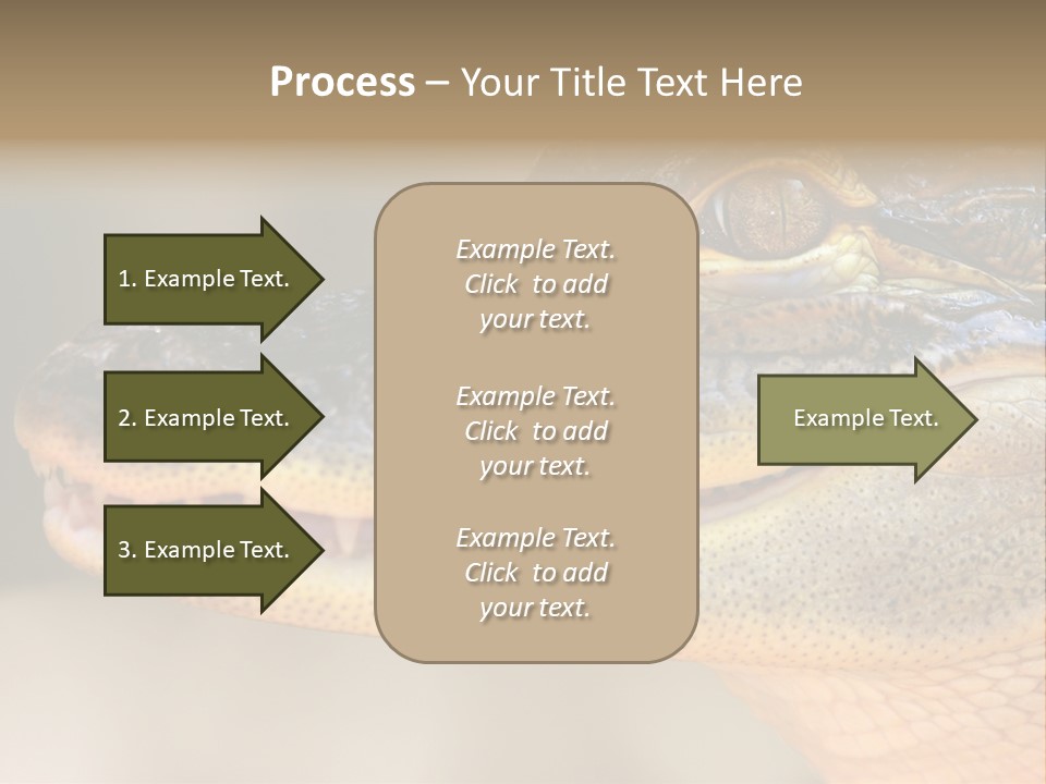 House Technology Remote PowerPoint Template