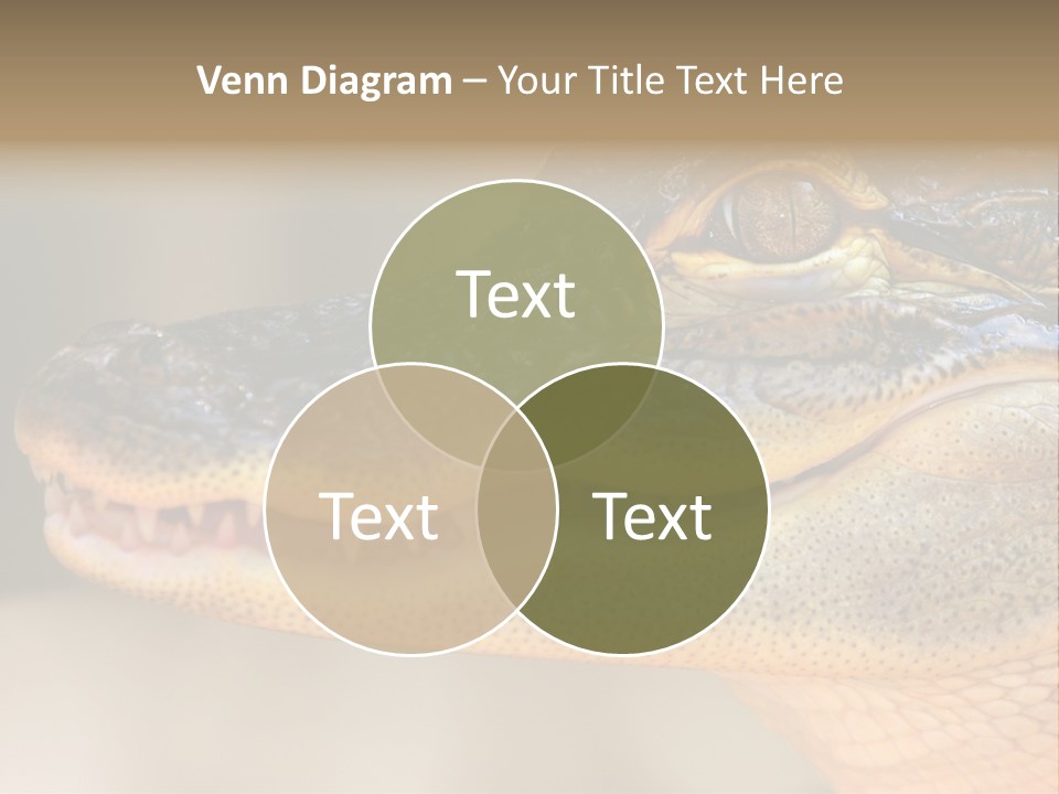 House Technology Remote PowerPoint Template