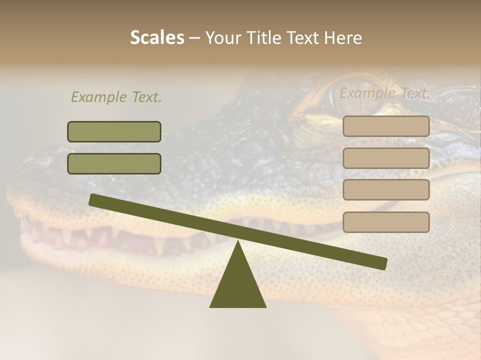 House Technology Remote PowerPoint Template