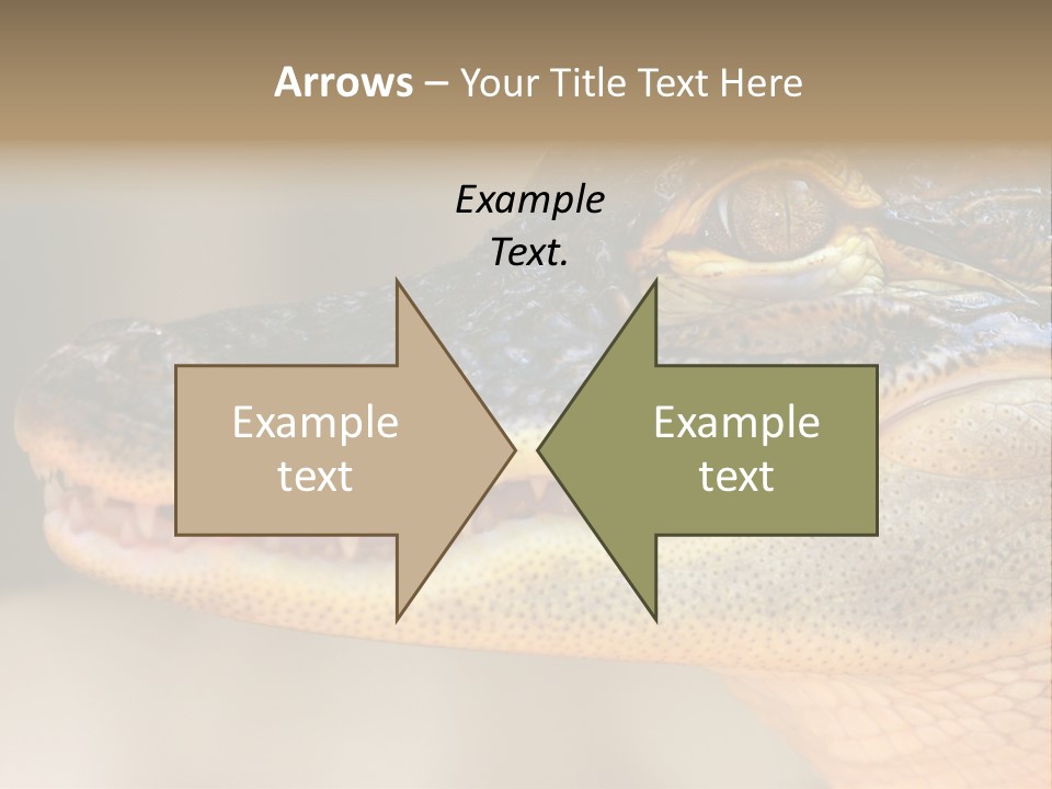 House Technology Remote PowerPoint Template