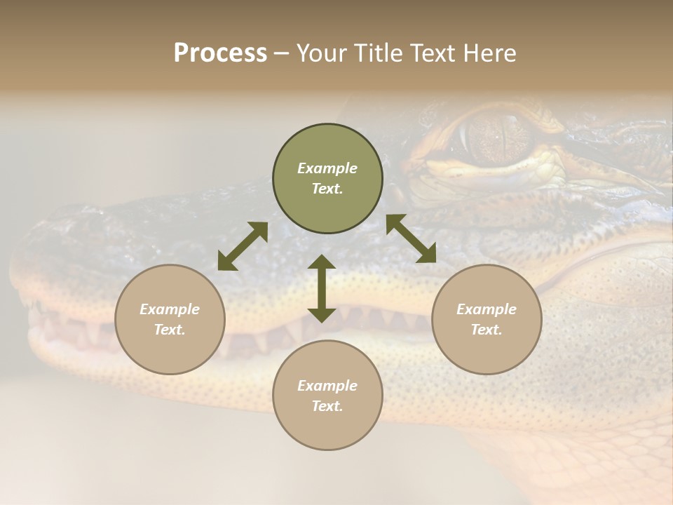 House Technology Remote PowerPoint Template