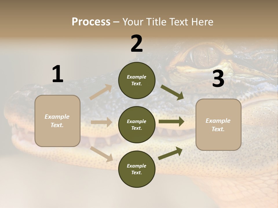 House Technology Remote PowerPoint Template