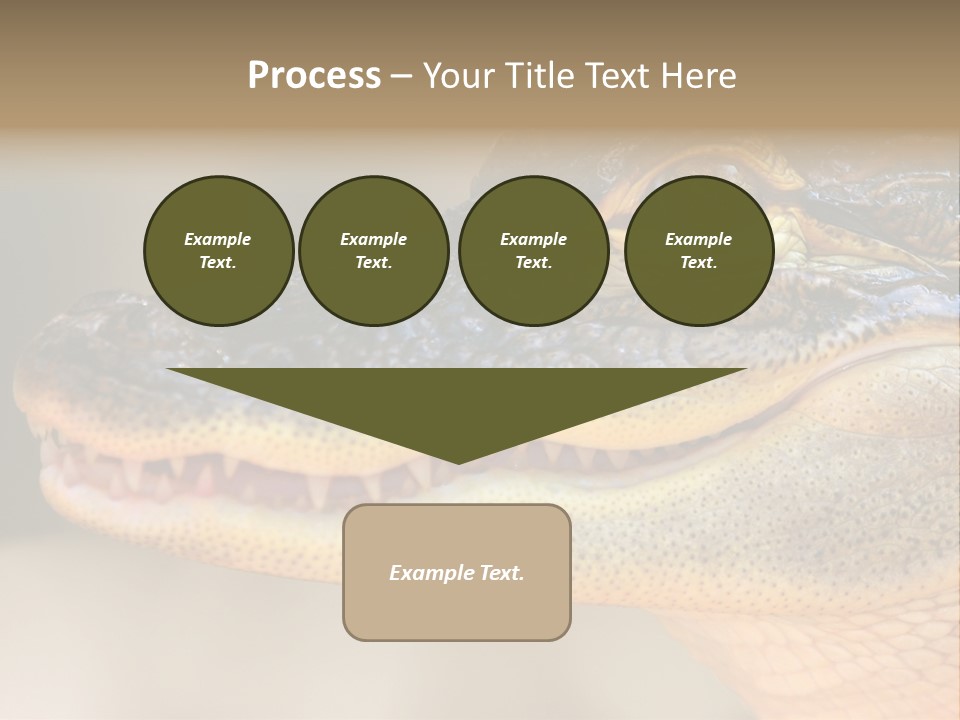 House Technology Remote PowerPoint Template