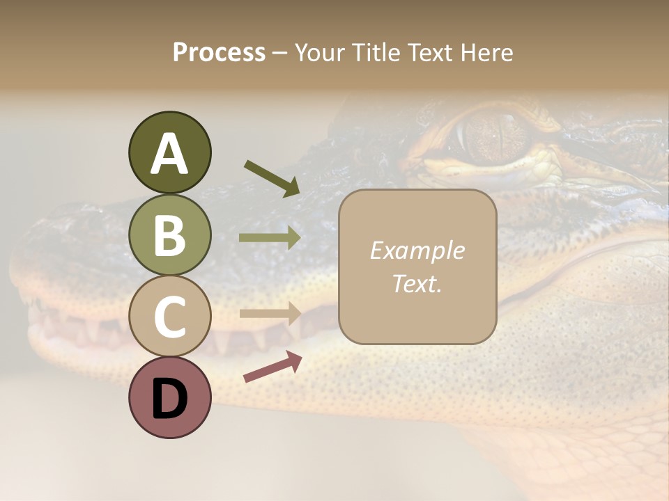 House Technology Remote PowerPoint Template