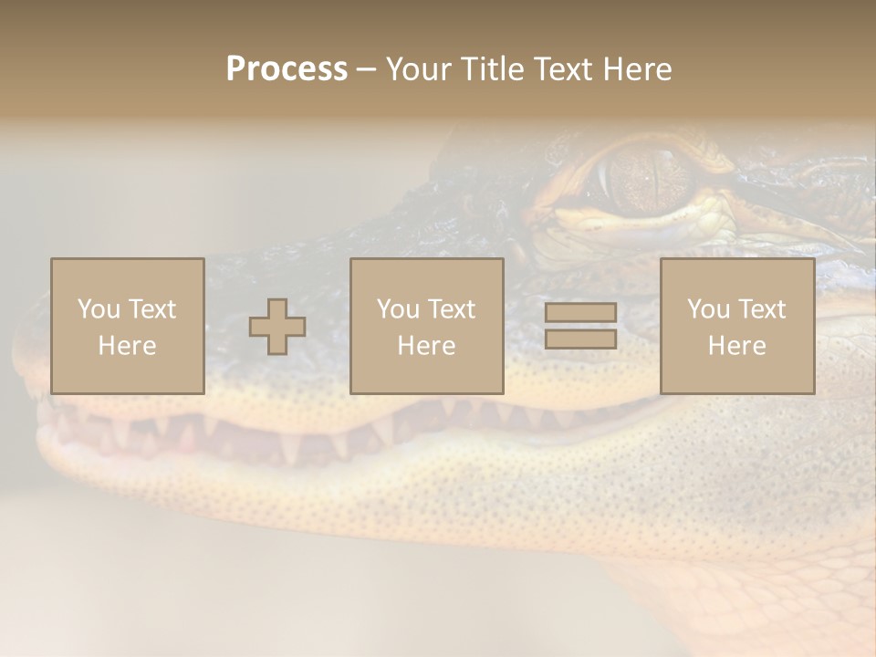 House Technology Remote PowerPoint Template