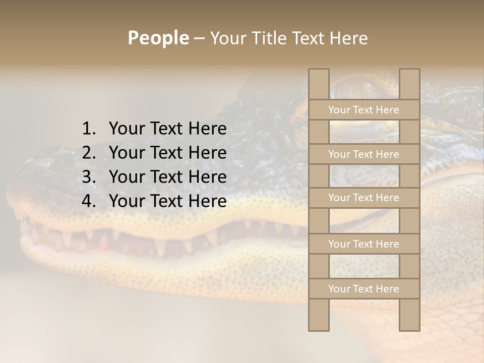 House Technology Remote PowerPoint Template