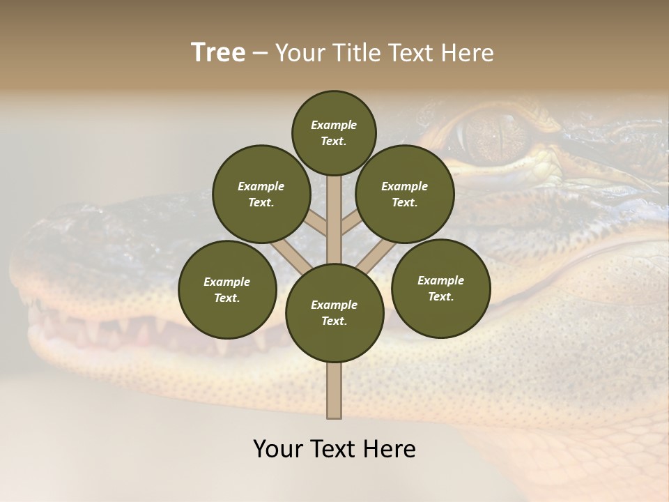 House Technology Remote PowerPoint Template