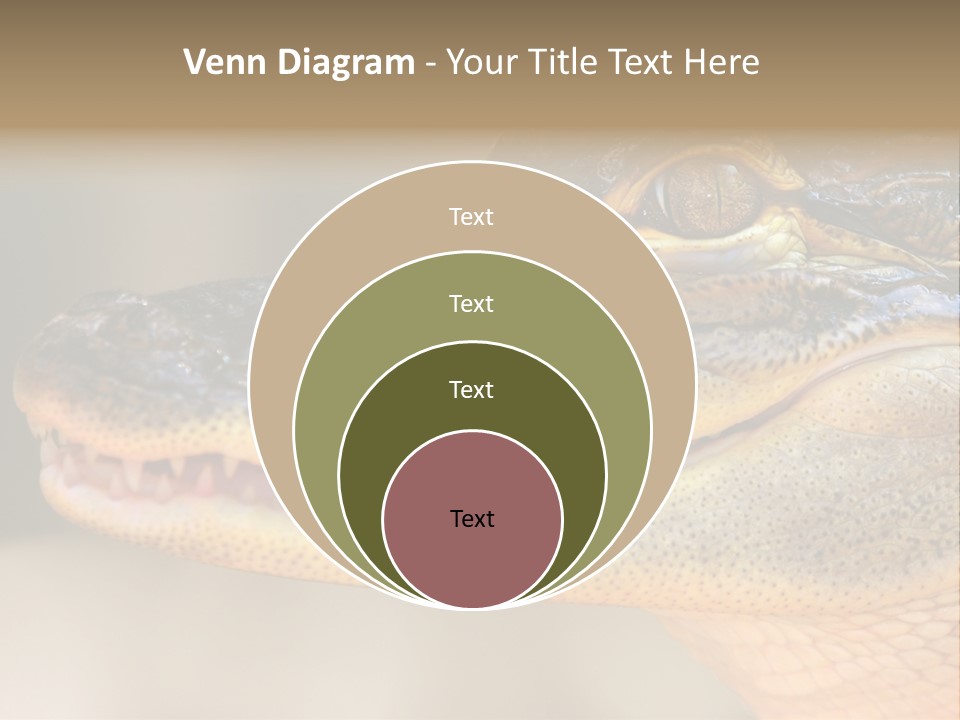 House Technology Remote PowerPoint Template