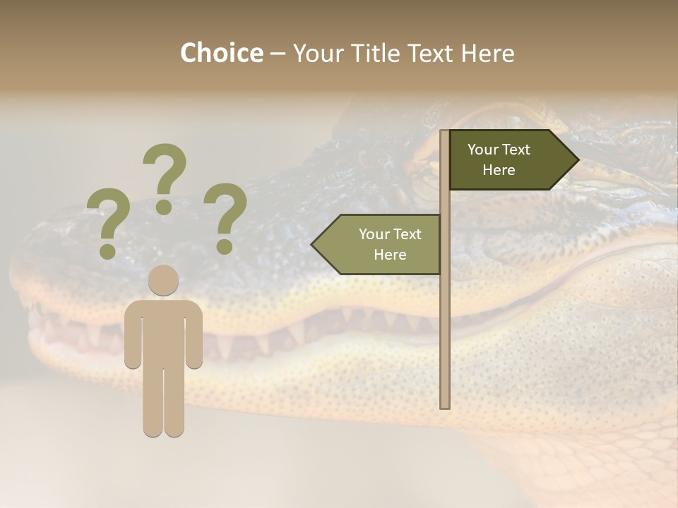 House Technology Remote PowerPoint Template