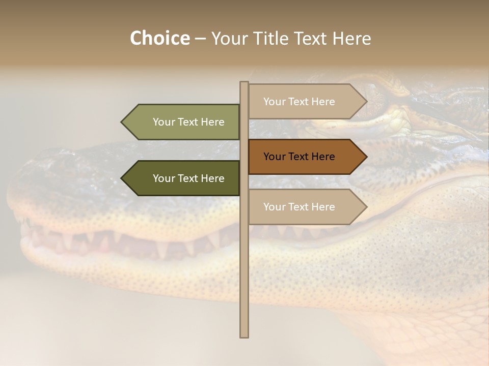 House Technology Remote PowerPoint Template