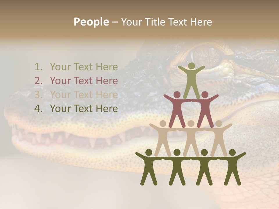 House Technology Remote PowerPoint Template