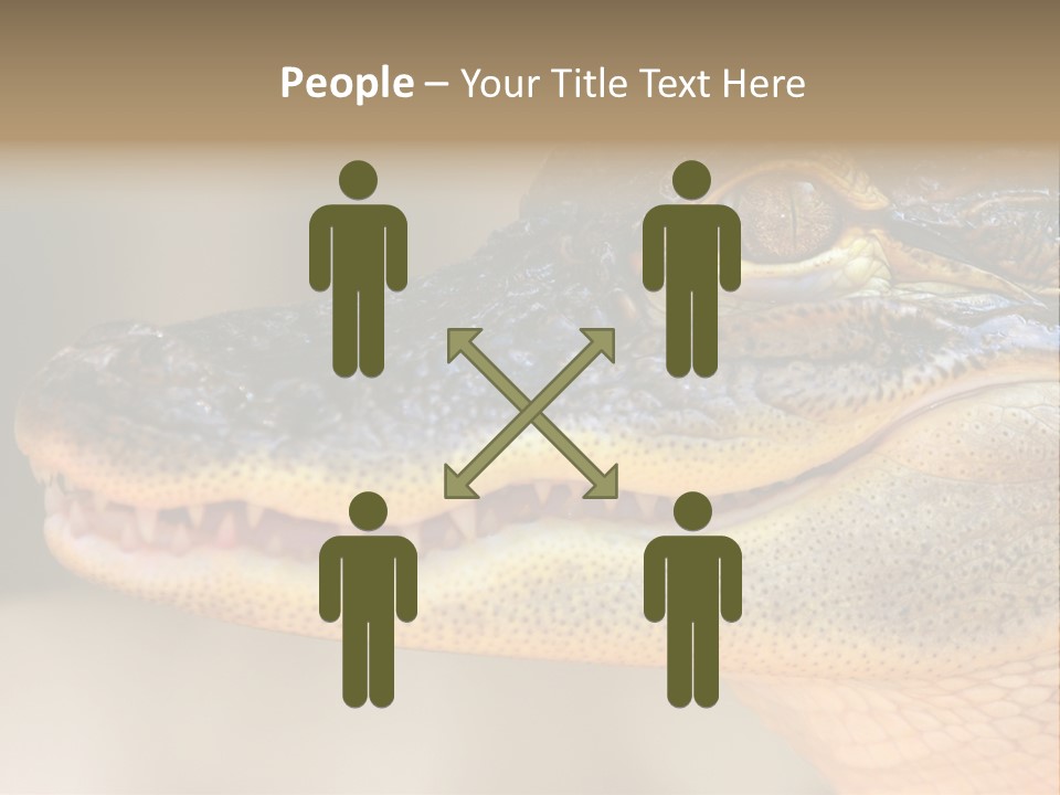 House Technology Remote PowerPoint Template