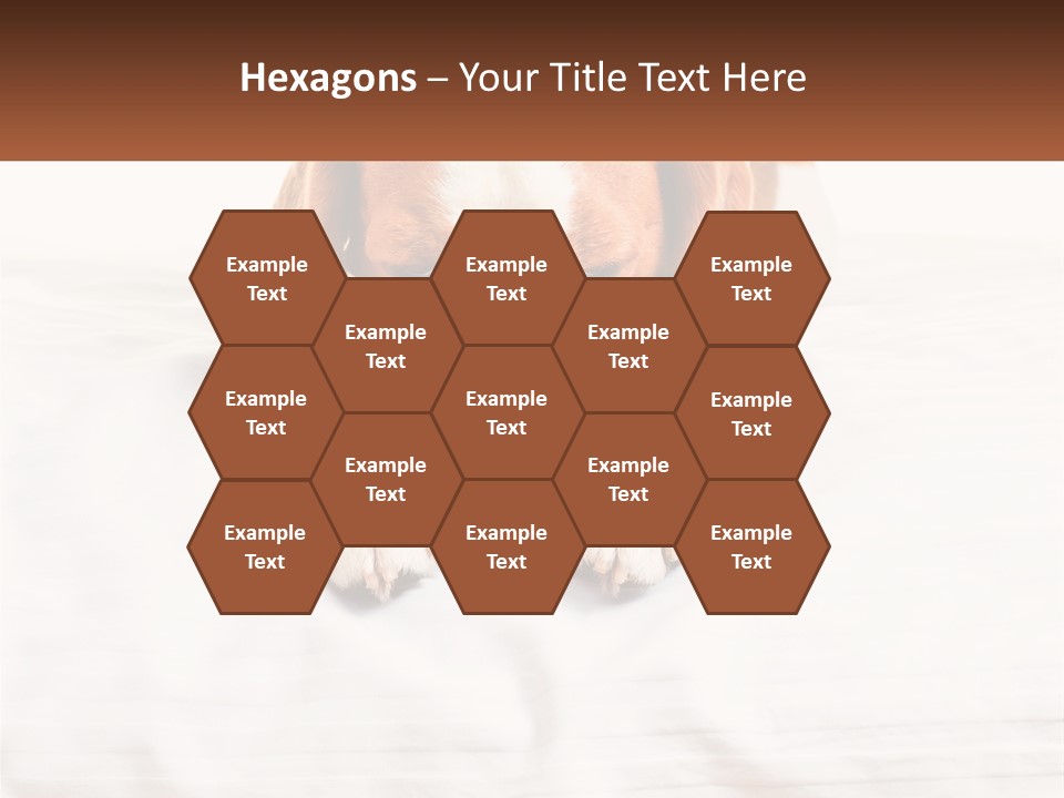 Remote House Condition PowerPoint Template