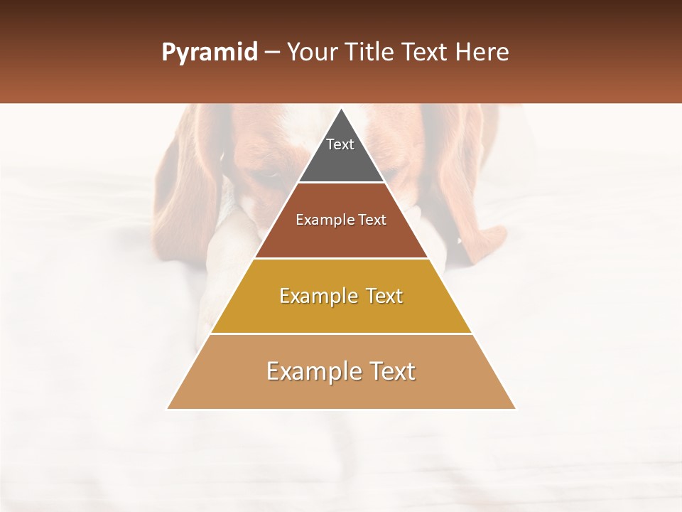 Remote House Condition PowerPoint Template