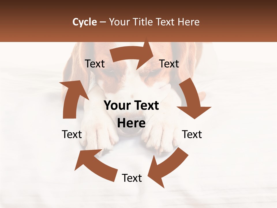 Remote House Condition PowerPoint Template