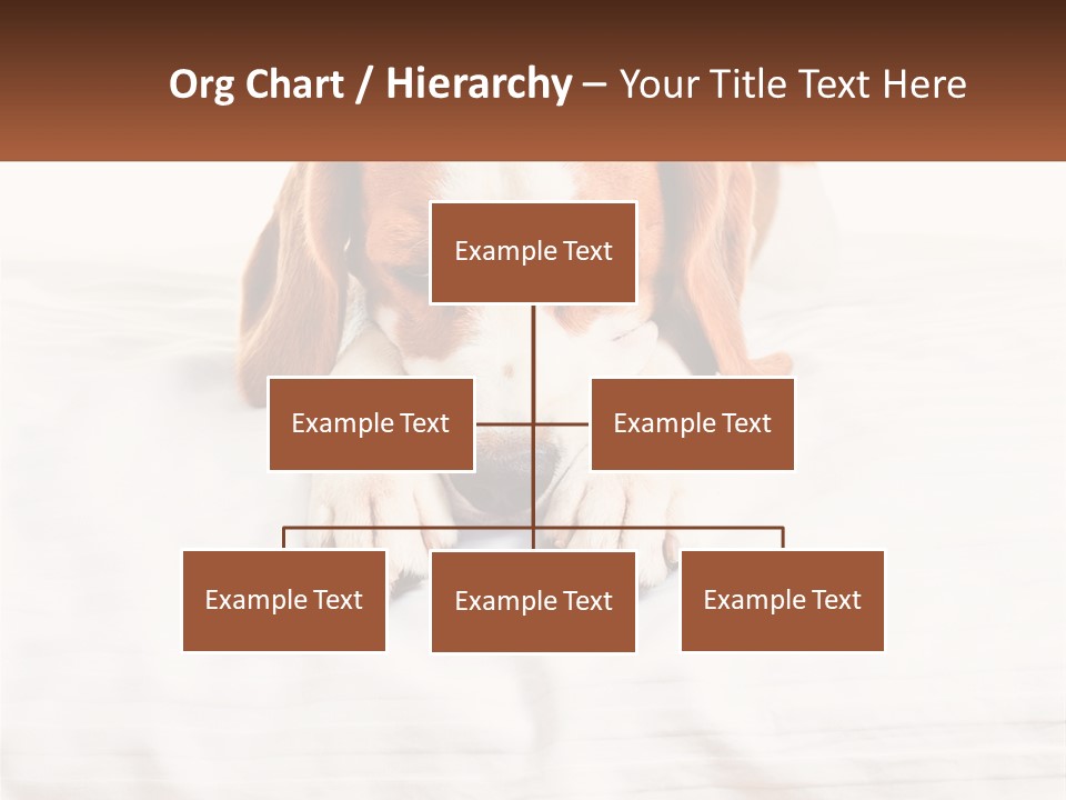 Remote House Condition PowerPoint Template