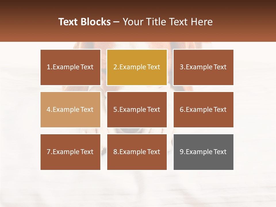 Remote House Condition PowerPoint Template