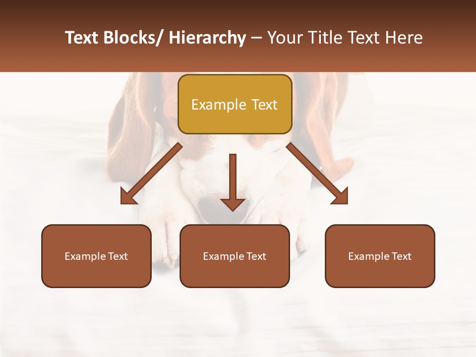 Remote House Condition PowerPoint Template