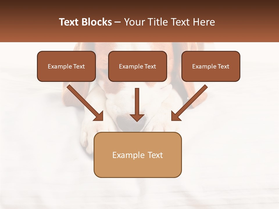 Remote House Condition PowerPoint Template