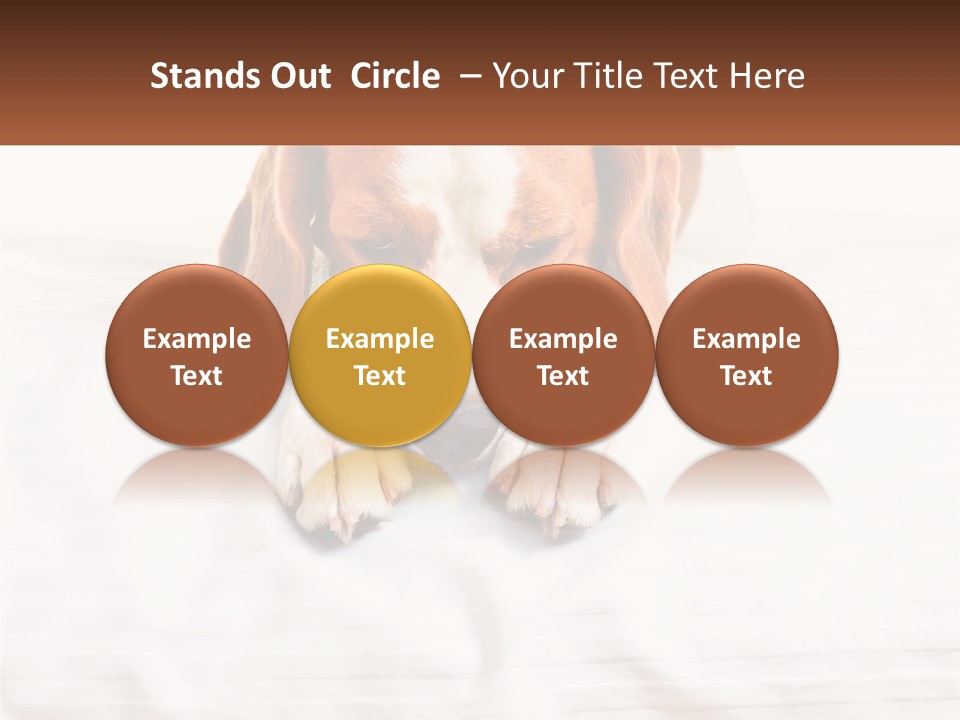 Remote House Condition PowerPoint Template