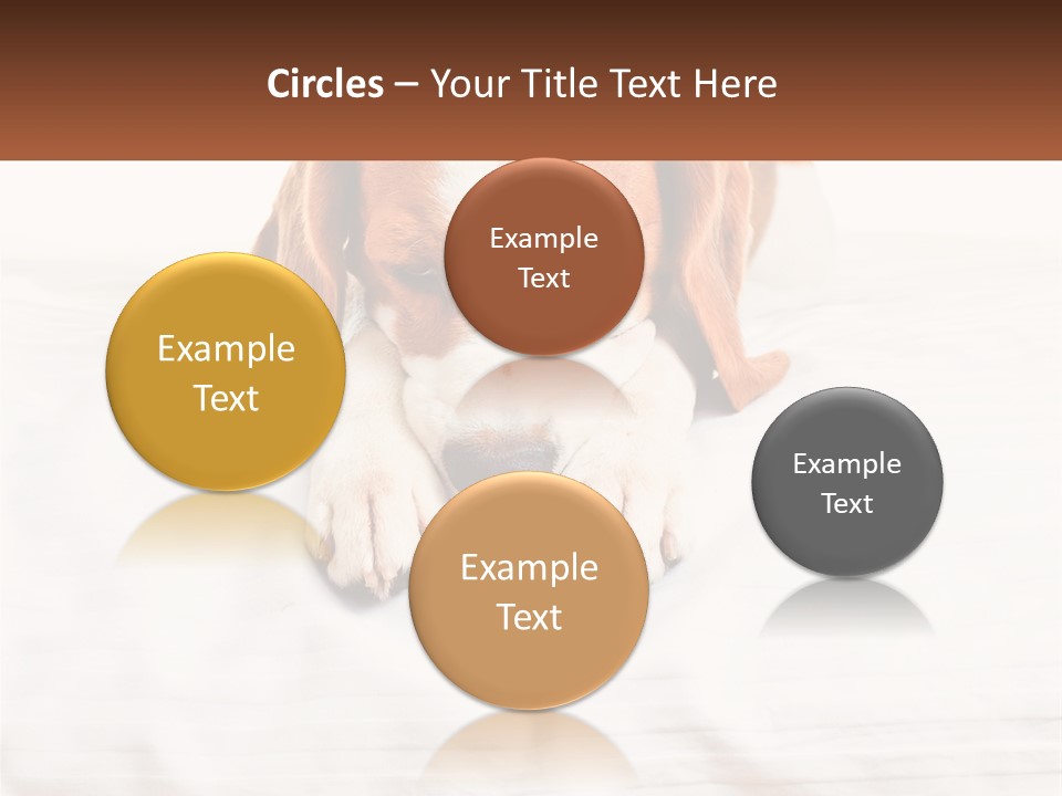 Remote House Condition PowerPoint Template