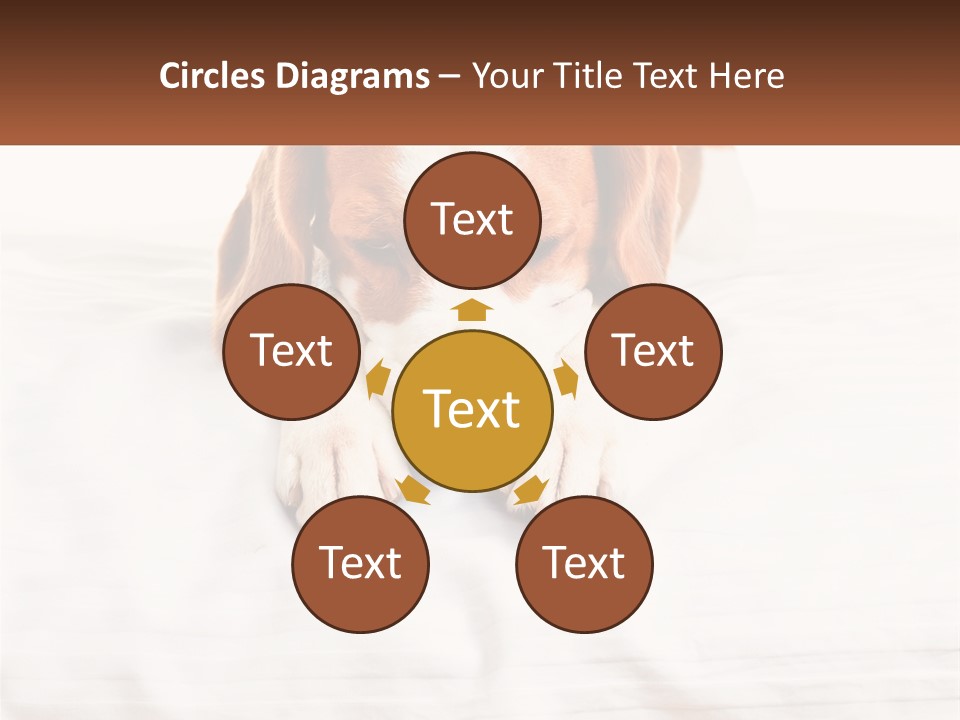 Remote House Condition PowerPoint Template