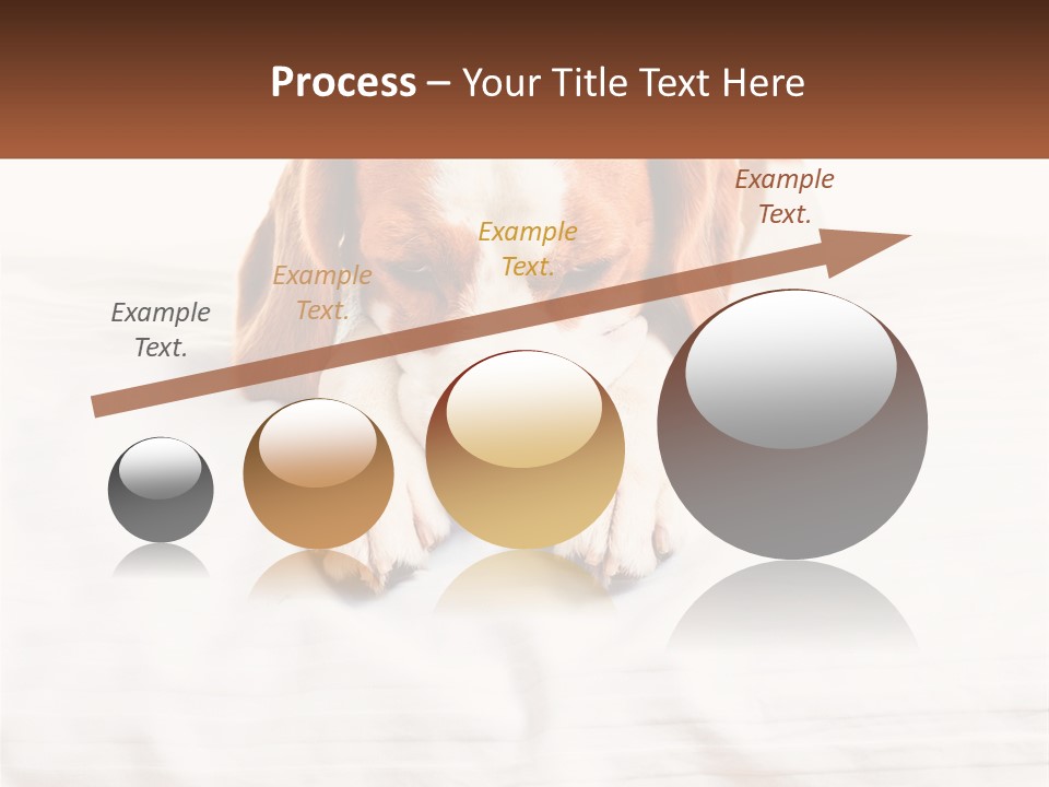 Remote House Condition PowerPoint Template