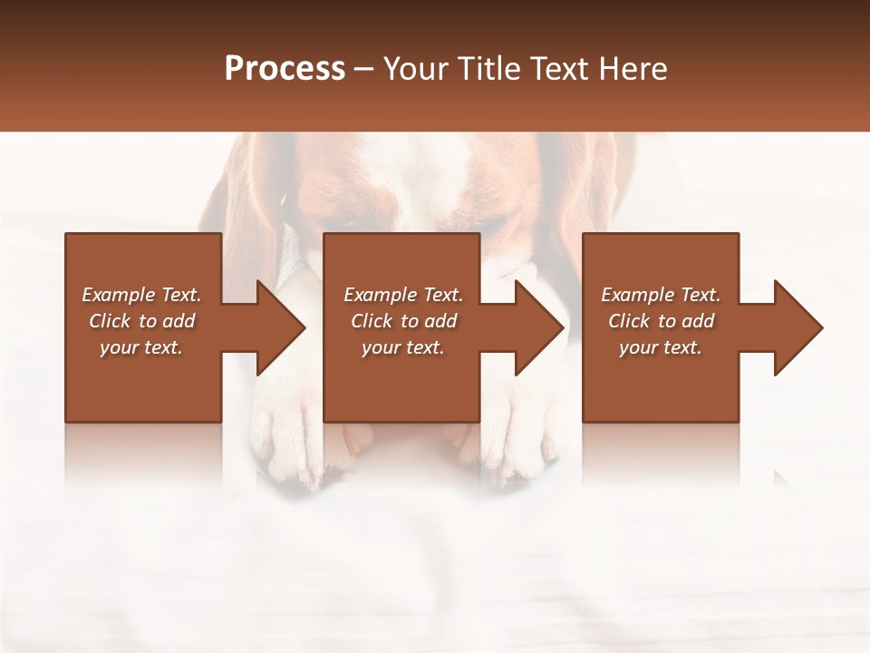 Remote House Condition PowerPoint Template