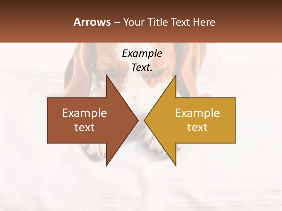 Remote House Condition PowerPoint Template