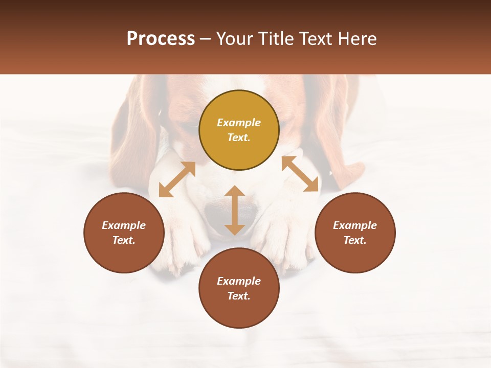 Remote House Condition PowerPoint Template