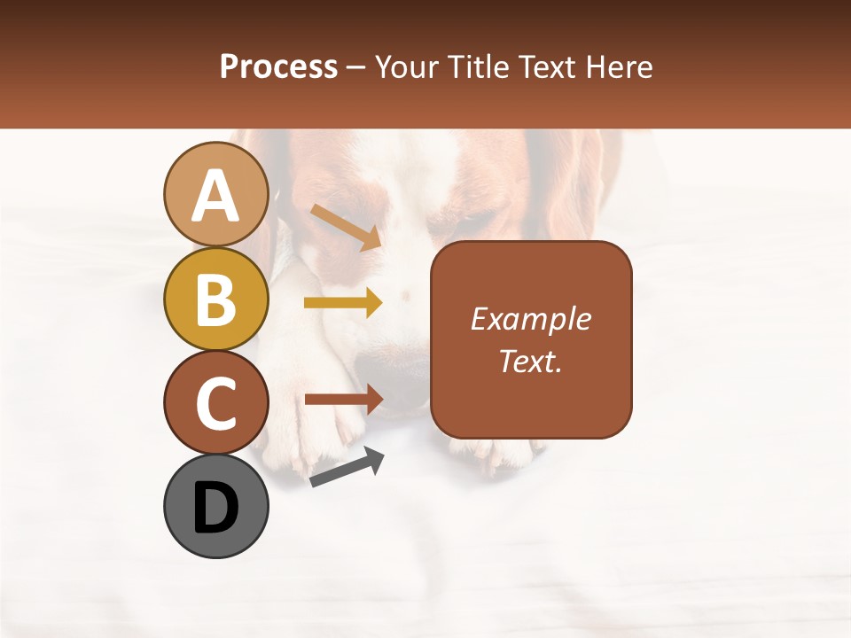 Remote House Condition PowerPoint Template