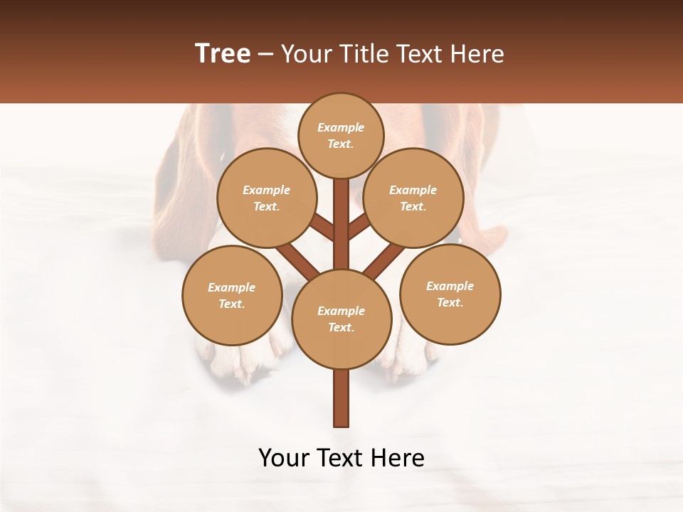 Remote House Condition PowerPoint Template