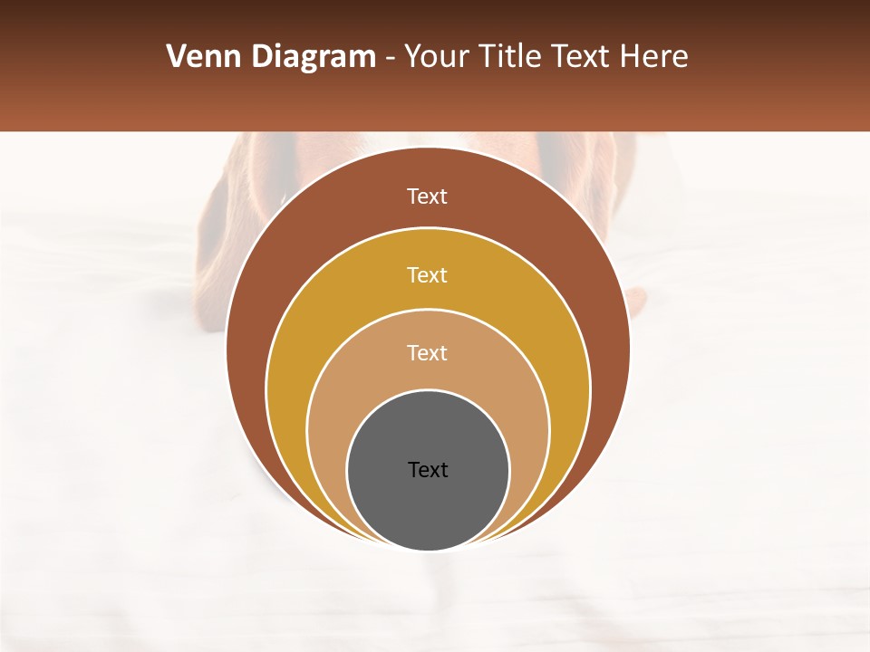 Remote House Condition PowerPoint Template