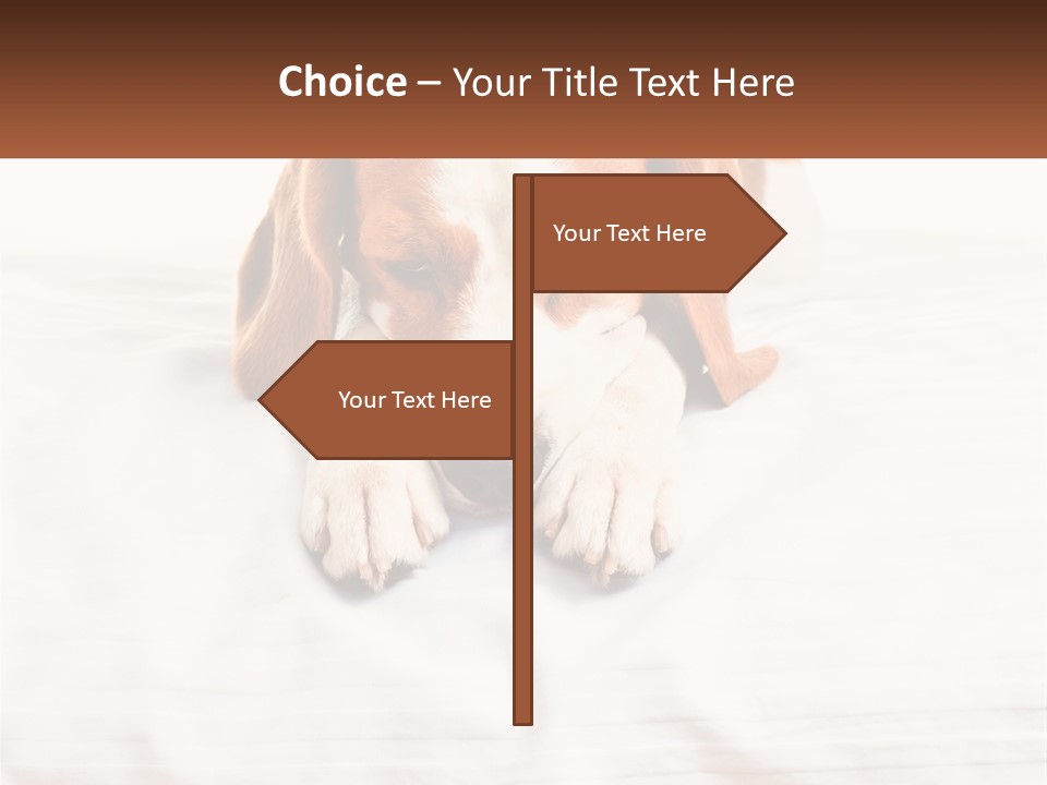 Remote House Condition PowerPoint Template