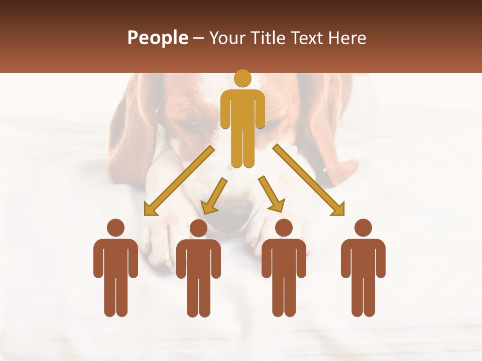 Remote House Condition PowerPoint Template