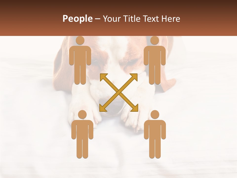 Remote House Condition PowerPoint Template