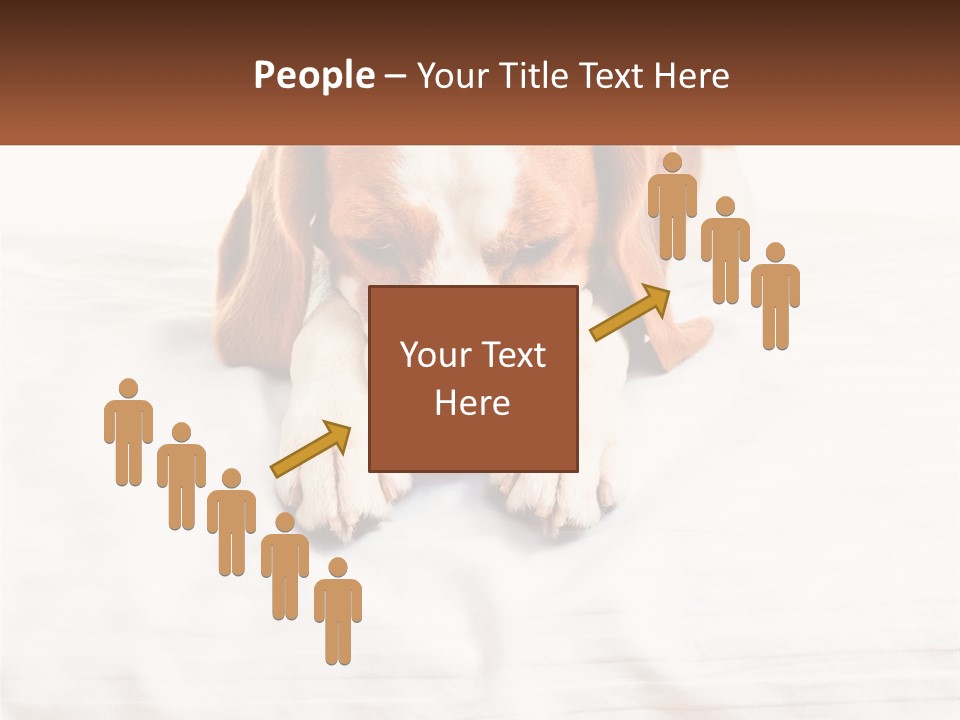 Remote House Condition PowerPoint Template