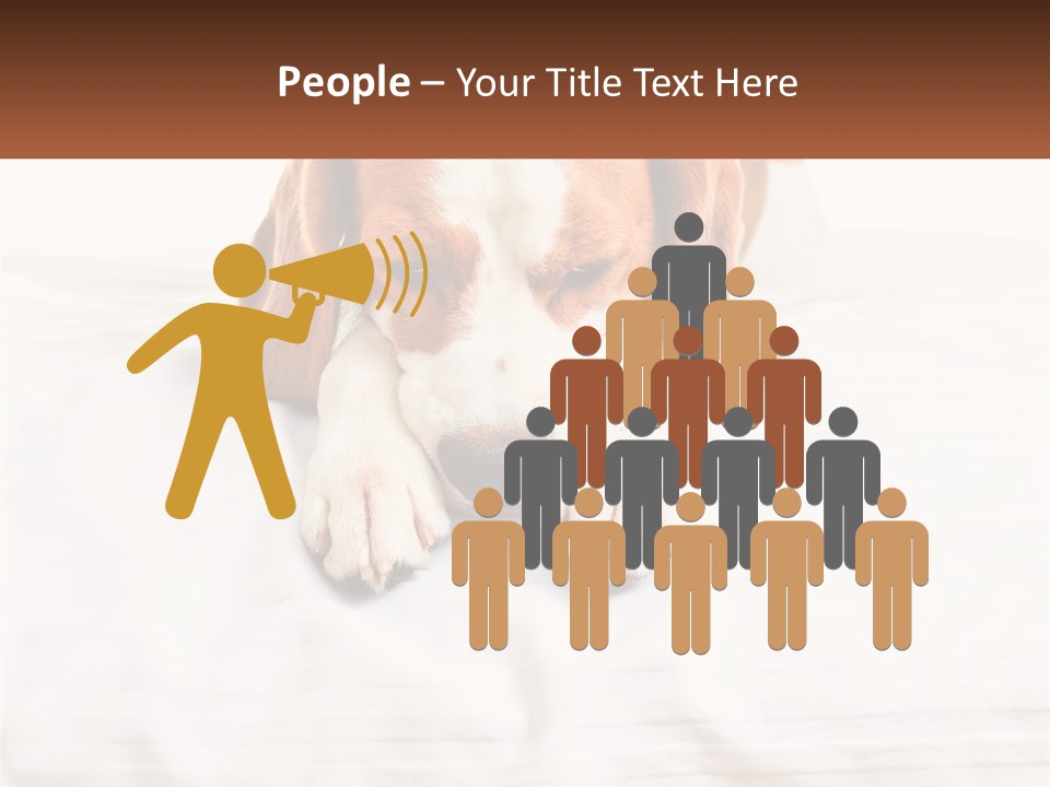 Remote House Condition PowerPoint Template